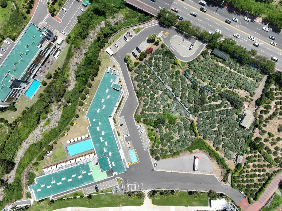 Shin Shin Hotel Jeju City Exteriér fotografie