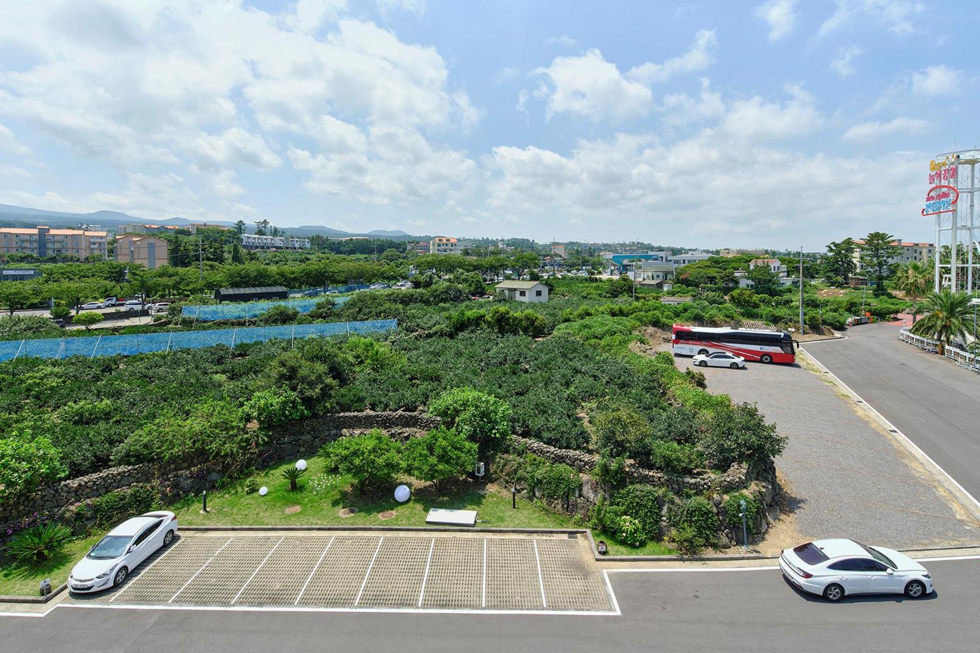 Shin Shin Hotel Jeju City Exteriér fotografie