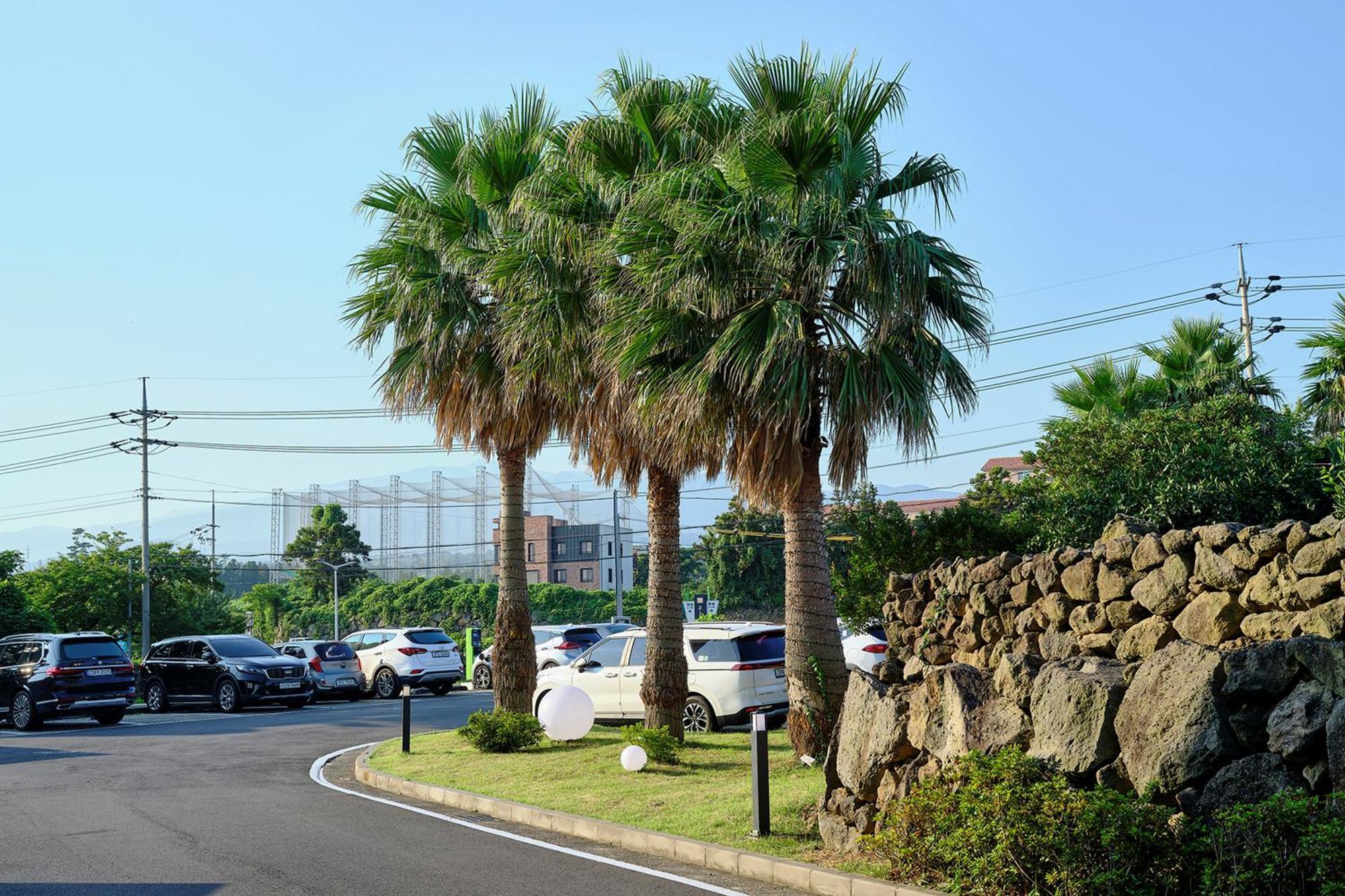 Shin Shin Hotel Jeju City Exteriér fotografie